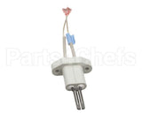 100110899 Polaris Water Heater Natural Gas Igniter Hcg - 9006