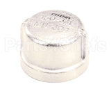 100113 Champion - Moyer Diebel Cap 3/4 Npt Sst