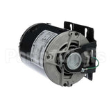 100170 Loren Cook Motor