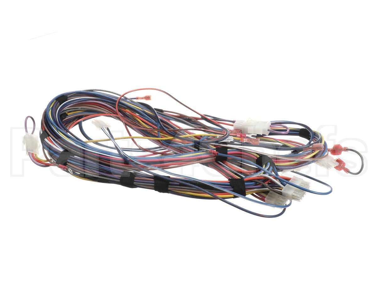 100173240 Lochinvar Harnesswire24Vpb/Pf