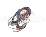 100173240 Lochinvar Harnesswire24Vpb/Pf