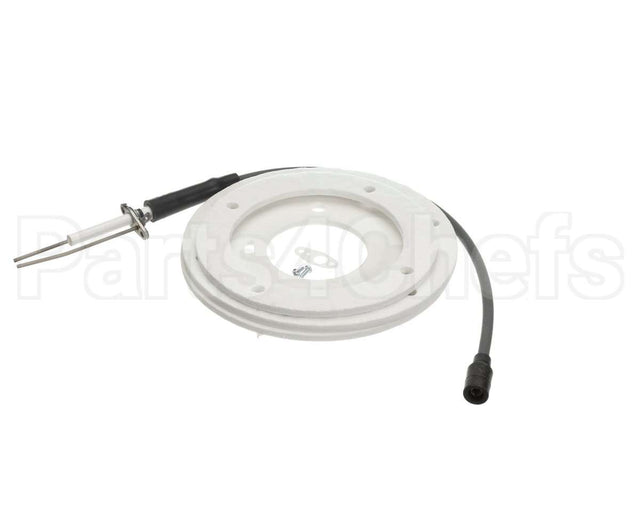 100191120 Ao Smith Water Heater Ignitor