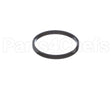 100208099 Lochinvar K,Gasket,Element