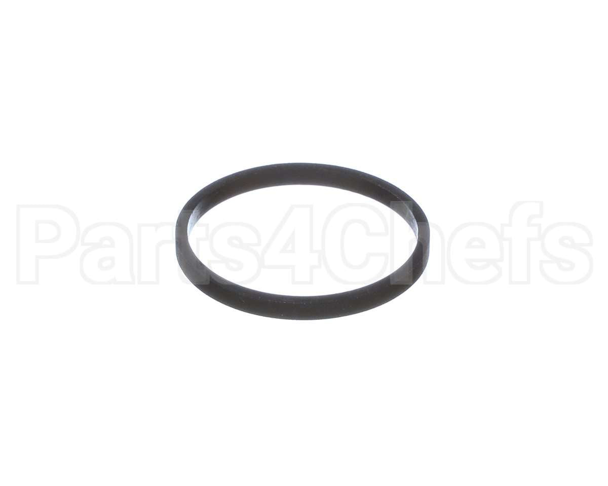 100208099 Lochinvar K,Gasket,Element