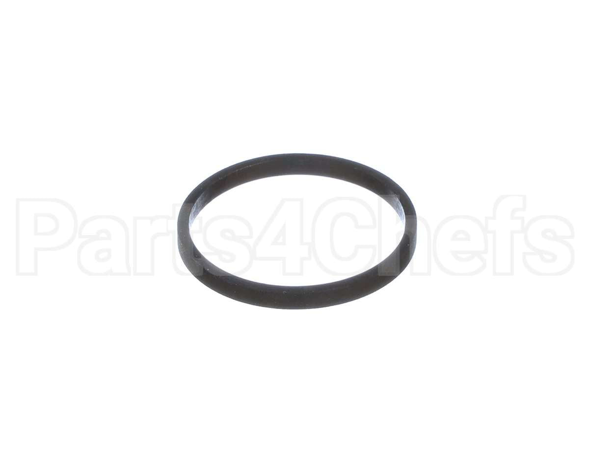100208099 Lochinvar K,Gasket,Element