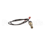 100208553 Lochinvar K,Sensor,Immersion