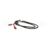 100208553 Lochinvar K,Sensor,Immersion