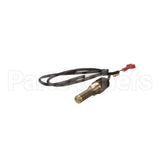 100208553 Lochinvar K,Sensor,Immersion