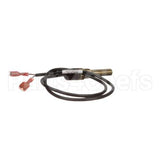 100208553 Lochinvar K,Sensor,Immersion