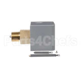 100208653 Lochinvar K,Switch,Flow W/Paddle