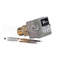 100232493 Lochinvar K,Switch,Flow