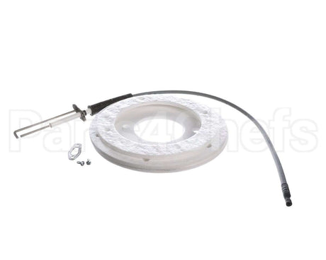 100271888 Ao Smith Water Heater K,Spark Igniter Assy,(Straig