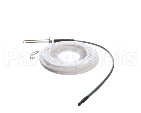 100271888 Ao Smith Water Heater K,Spark Igniter Assy,(Straig