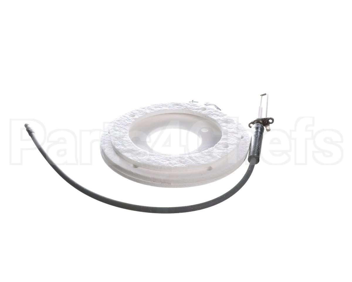 100271888 Ao Smith Water Heater K,Spark Igniter Assy,(Straig