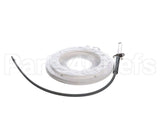 100271888 Ao Smith Water Heater K,Spark Igniter Assy,(Straig
