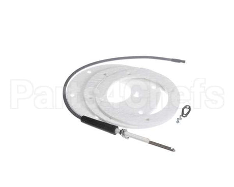 100271888 State Water Heater Spark Igniter Assembly