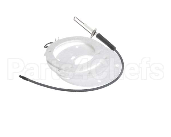 100271888 State Water Heater Spark Igniter Assembly