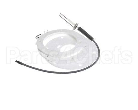 100271888 State Water Heater Spark Igniter Assembly