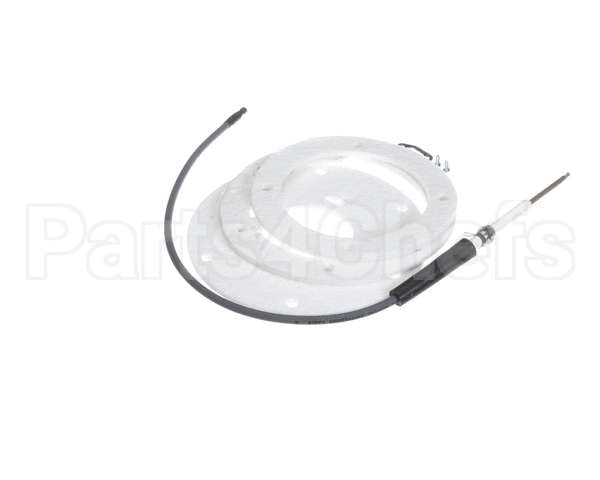 100271888 State Water Heater Spark Igniter Assembly