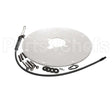 100271889 Ao Smith Water Heater K,Spark Igniter Assy(Angled)