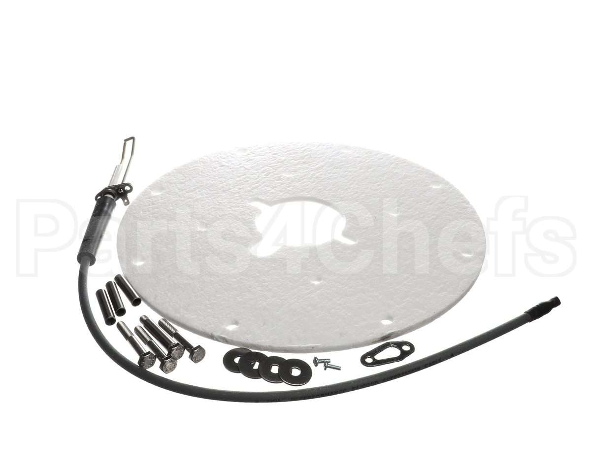 100271889 Ao Smith Water Heater K,Spark Igniter Assy(Angled)