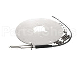 100271889 Ao Smith Water Heater K,Spark Igniter Assy(Angled)