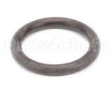 100283 Nimbus Water Systems Oring 12"