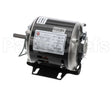100307 Loren Cook Motor