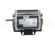 100316 Loren Cook Motor