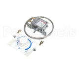 100398024 Ojeda Thermostat