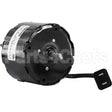 100599G Pems Oem Replacement Motor