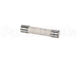 100602 Turbochef Fuse, 15 Amp