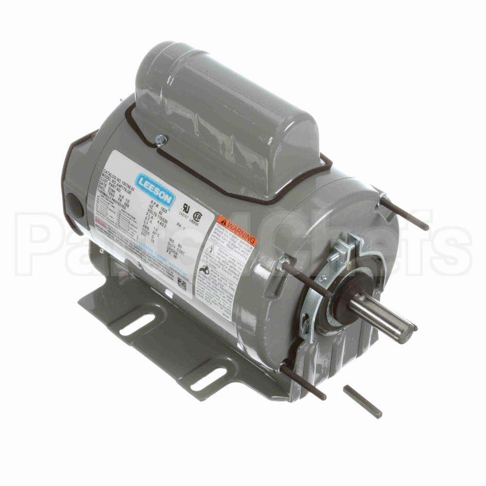 100768 Leeson Motor