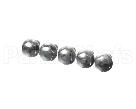 1008.0768P Rational Ornamental Screw M8X16