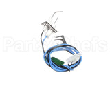 1009524 International Comfort Pro Ign Flame Rod Assy