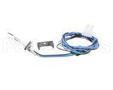 1009524 International Comfort Pro Ign Flame Rod Assy
