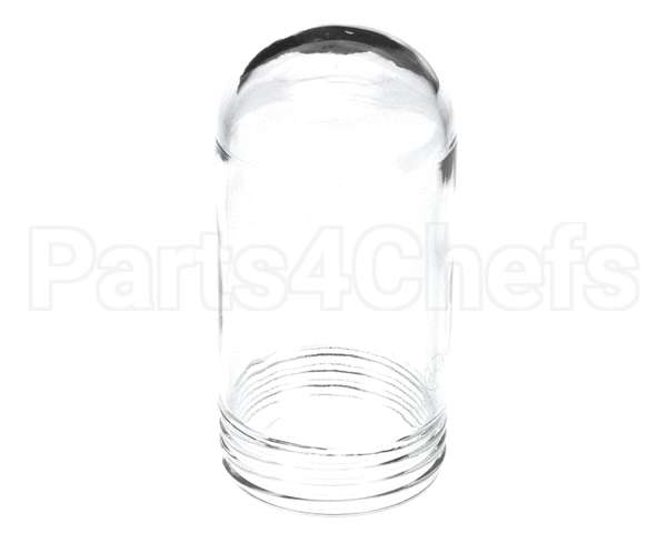10119 Gaylord Globe For Bullet Shaped 100 Wa