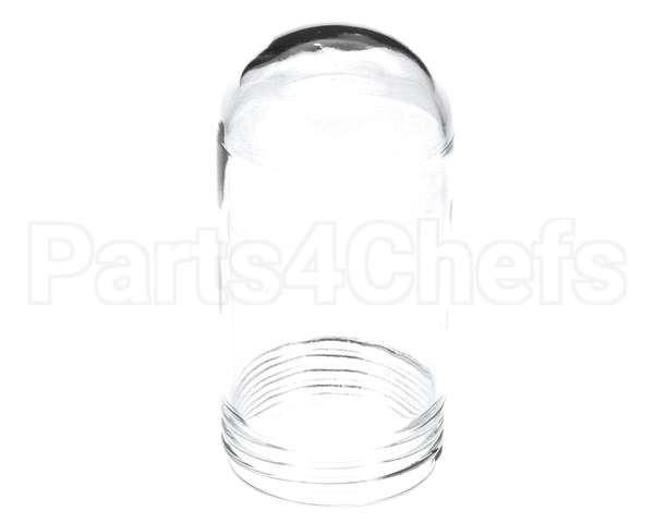 10119 Gaylord Globe For Bullet Shaped 100 Wa