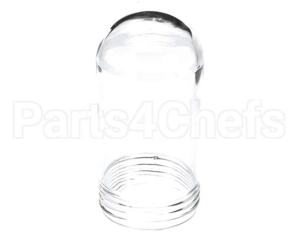 10119 Gaylord Globe For Bullet Shaped 100 Wa