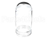 10119 Gaylord Globe For Bullet Shaped 100 Wa