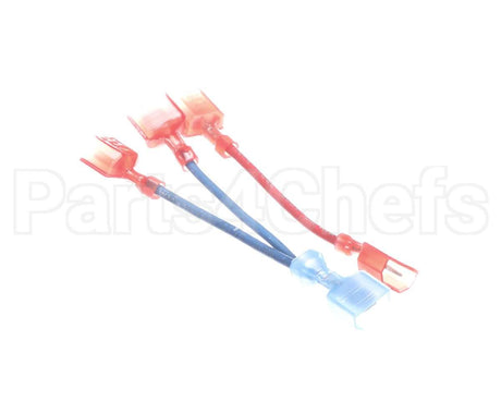 101313 Blodgett Wire Kit