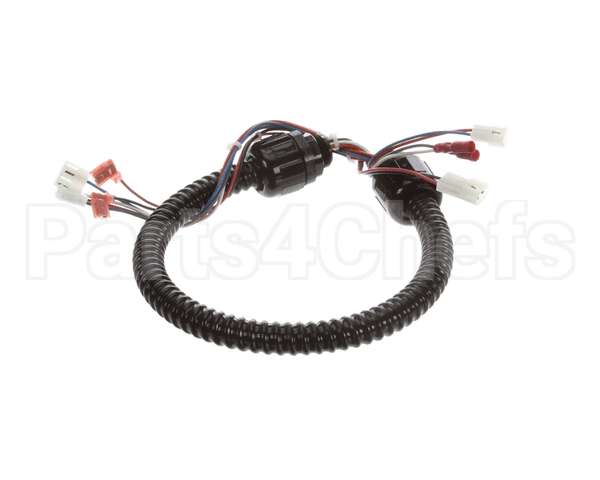 1015-V2-2 Globe Harness A3875, A3750