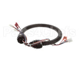 1015-V2-2 Globe Harness A3875, A3750