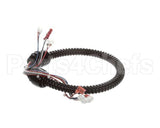 1015-V2-2 Globe Harness A3875, A3750
