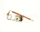 101542 Groen Thermostat Kit
