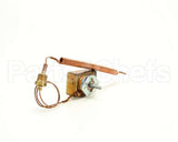 101542 Groen Thermostat Kit