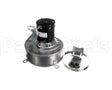 101559 Blodgett Blower Assy,Hoodini W/Cap 120V
