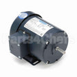 101647 Leeson Motor