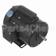 102020 Leeson Motor