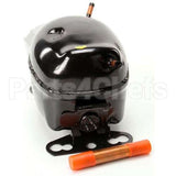 10343-51 Compatible Silver King Kit Compr 115V Em20Hhr